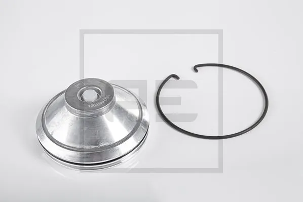 Cap, wheel bearing